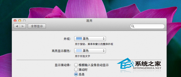  如何找出Mac OS X Lion消失的滾動條