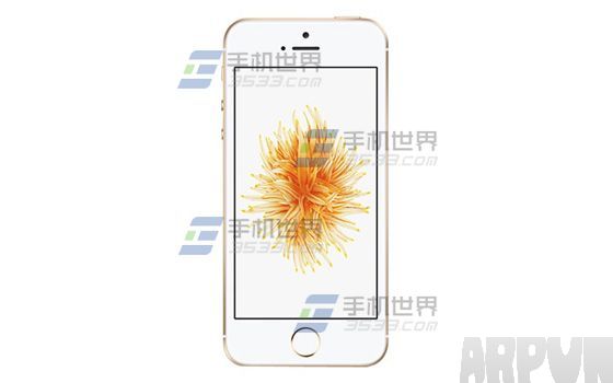 蘋果iPhoneSE怎麼關閉4G網絡_arp聯盟