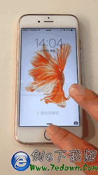 iPhone6s真假怎麼看 iPhone6改6s真假辨別方法